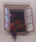 RIJEKA > Blumenfenster