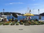 ROVINJ > Blumenmarkt am Hafen