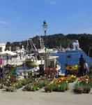 ROVINJ > Blumenmarkt am Hafen